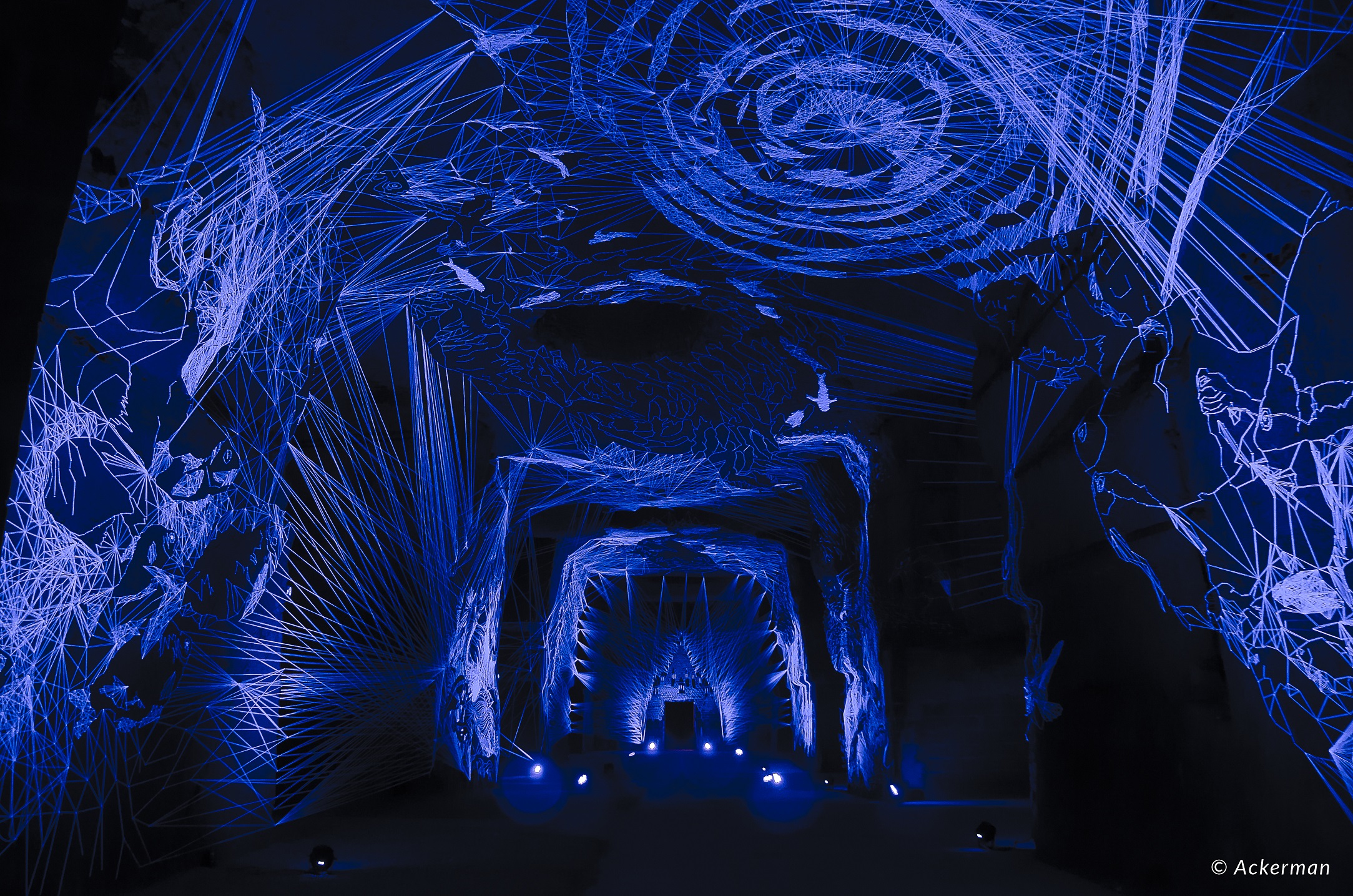 Fleuve Céleste - JulienSalaud, premierlauréat2015